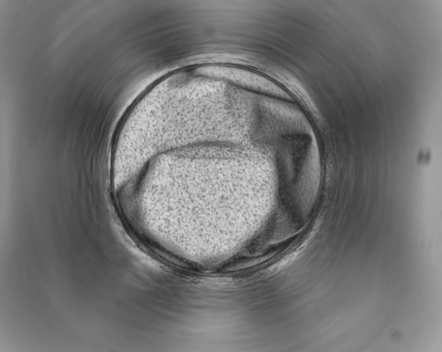 X0000090610844200708141349