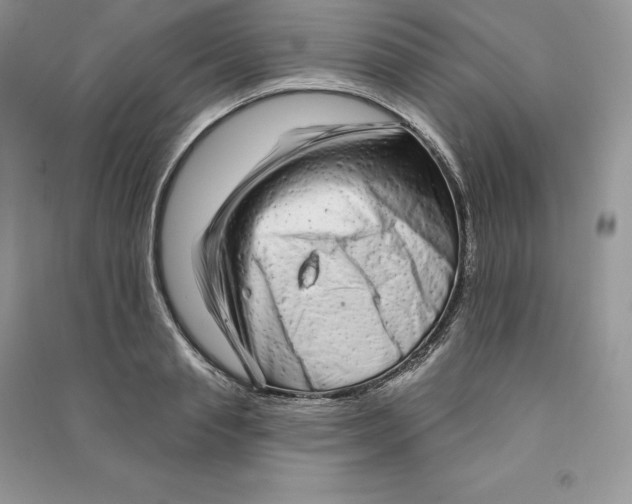 X0000090610845200708141349