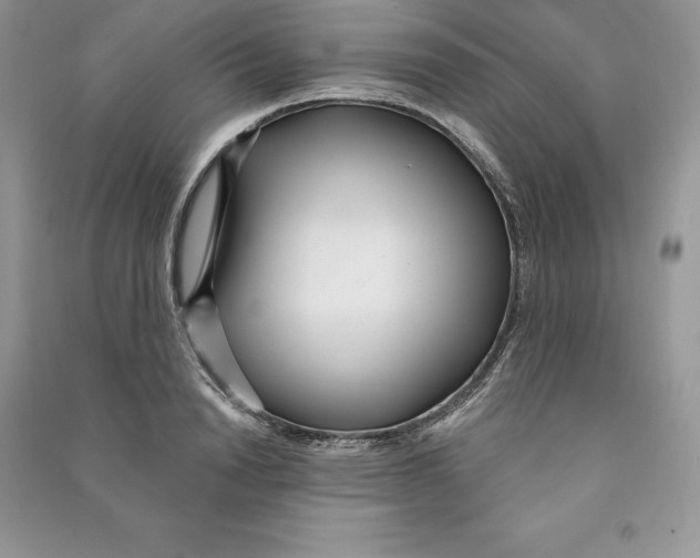 X0000090610846200708141350