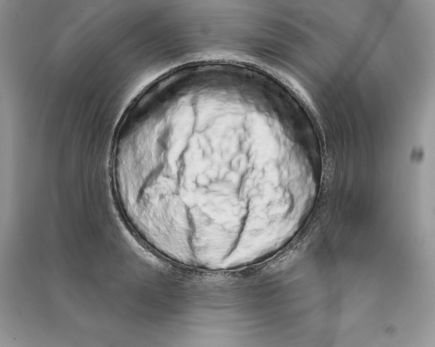 X0000090610847200708141350