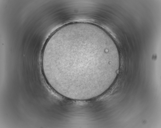 X0000090610848200708141350