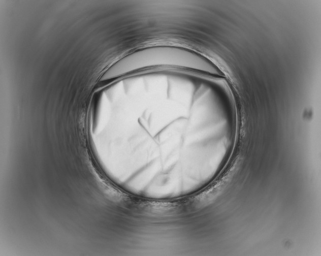 X0000090610849200708141350