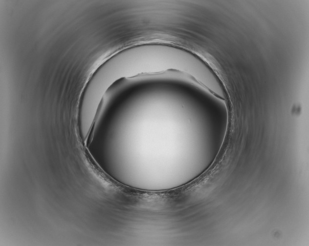 X0000090610850200708141350