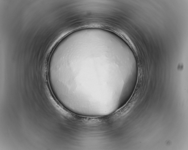 X0000090610851200708141350