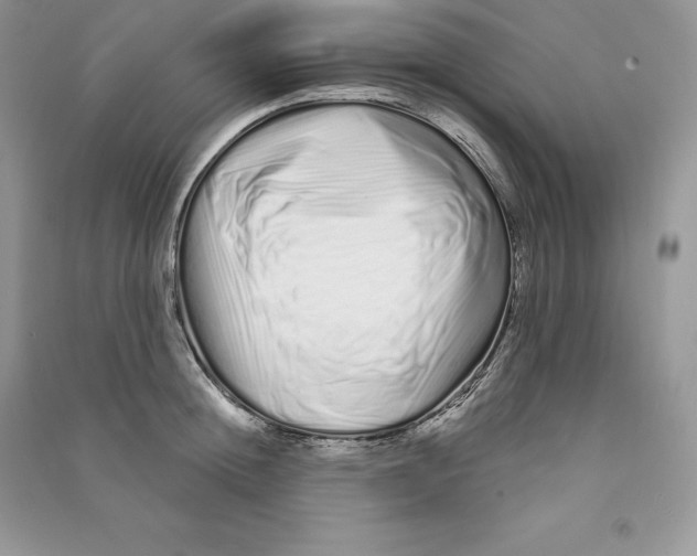 X0000090610852200708141350