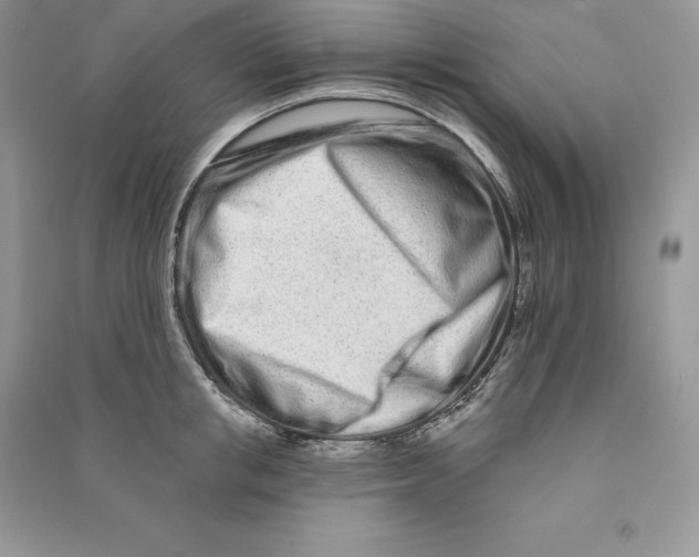 X0000090610853200708141350