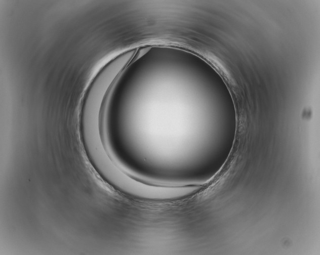 X0000090610854200708141350