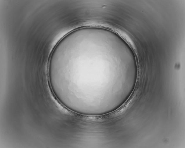 X0000090610855200708141350