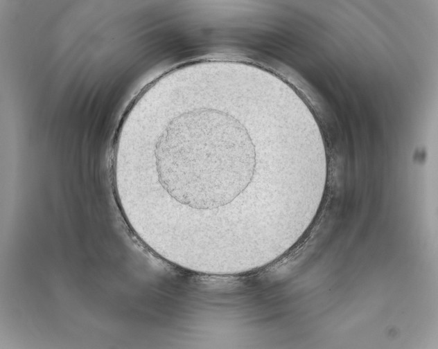 X0000090610856200708141350