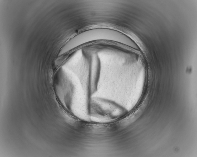 X0000090610857200708141350