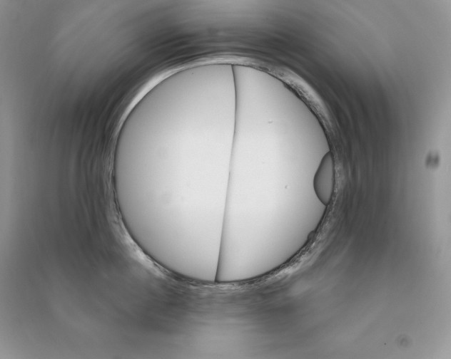 X0000090610860200708141350