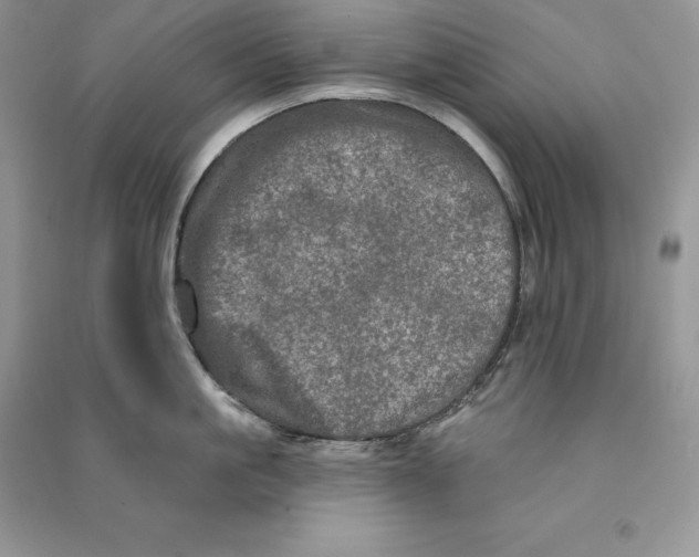 X0000090610861200708141350