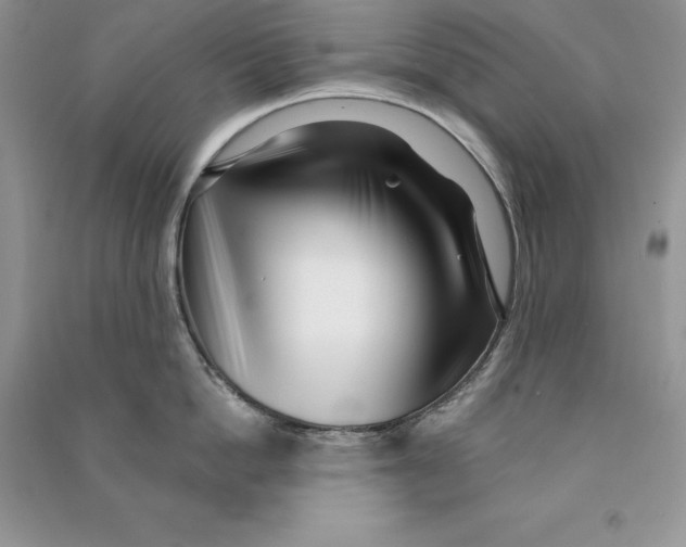 X0000090610862200708141350