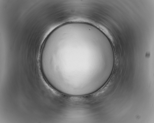 X0000090610863200708141350