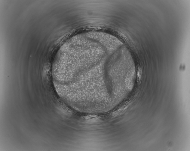 X0000090610867200708141349