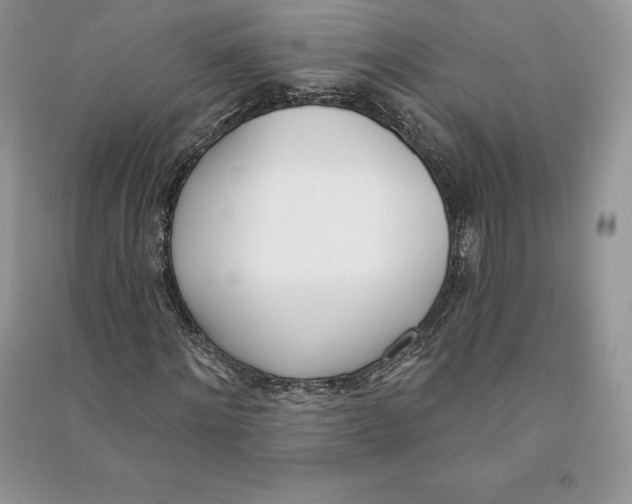 X0000090610868200708141349