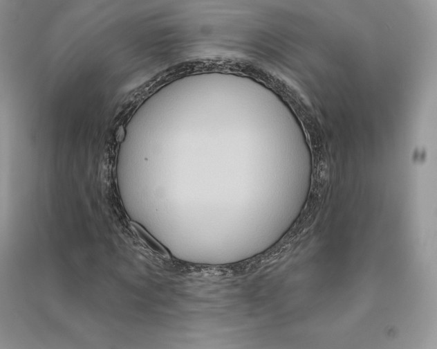 X0000090610869200708141349