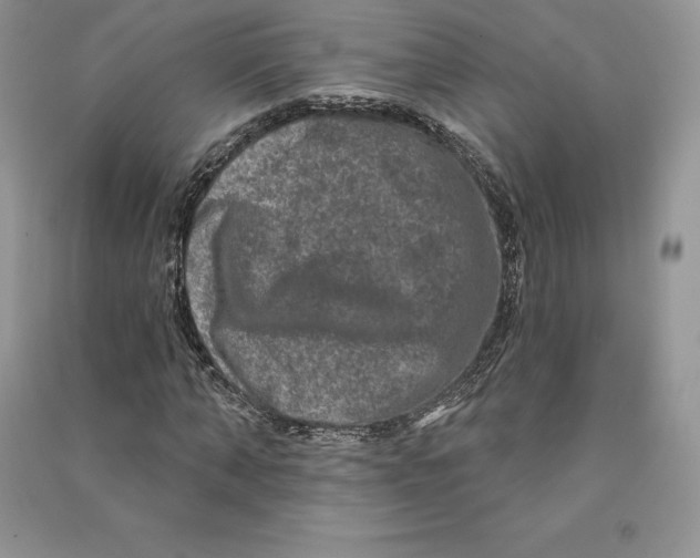 X0000090610870200708141349