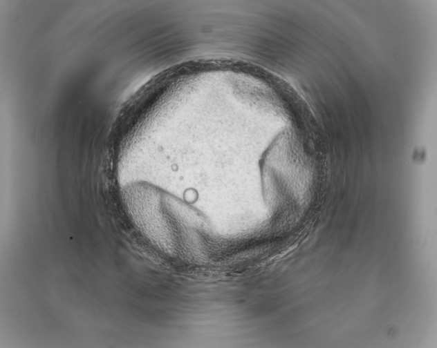 X0000090610871200708141349