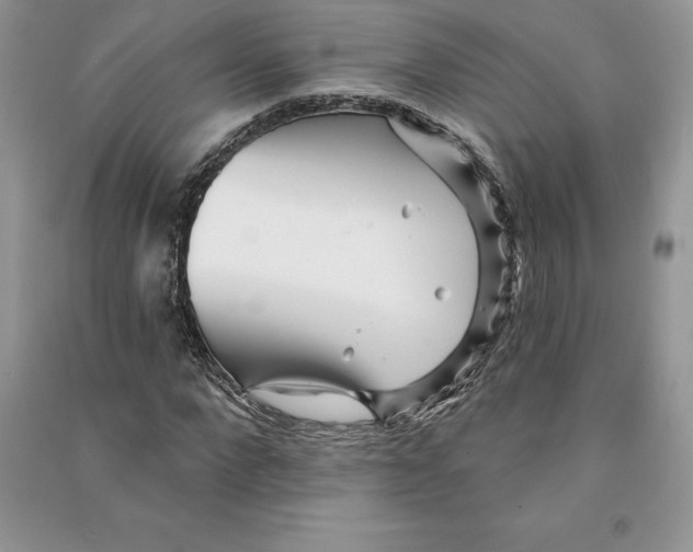 X0000090610872200708141349