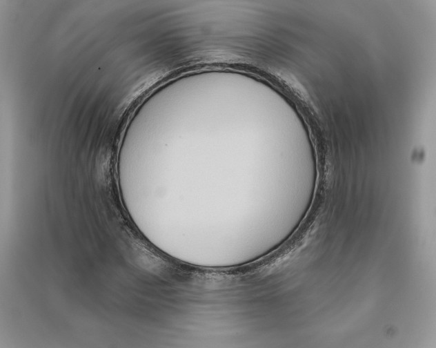 X0000090610873200708141349