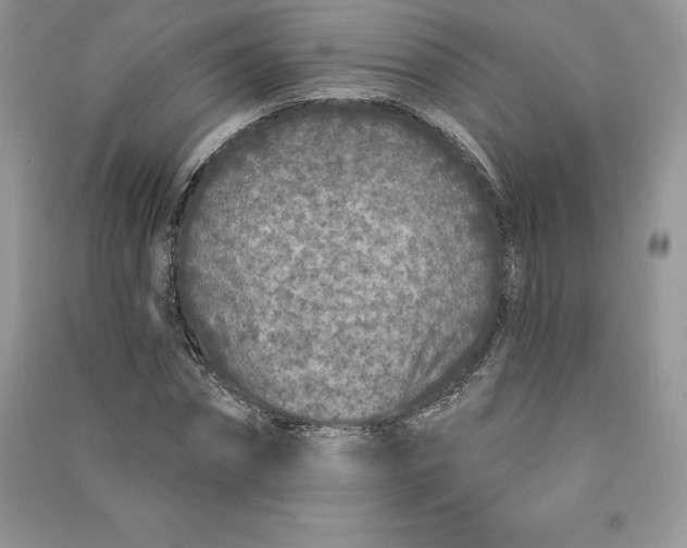 X0000090610874200708141349