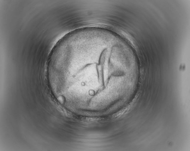 X0000090610875200708141349