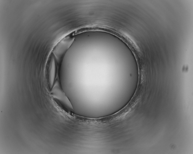 X0000090610876200708141349