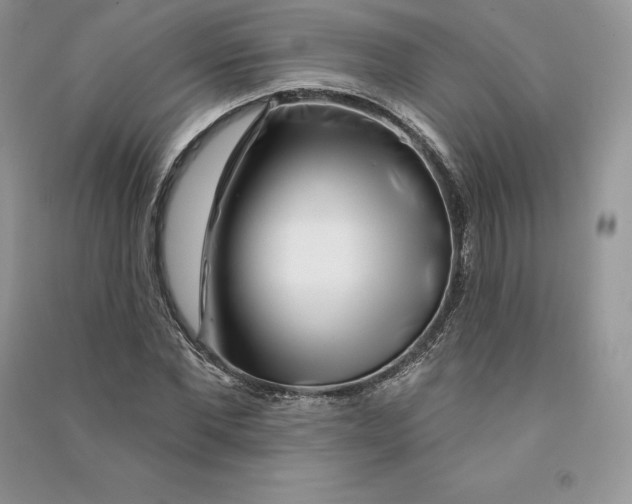 X0000090610877200708141349