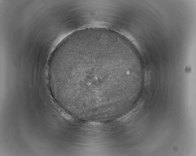 X0000090610878200708141349