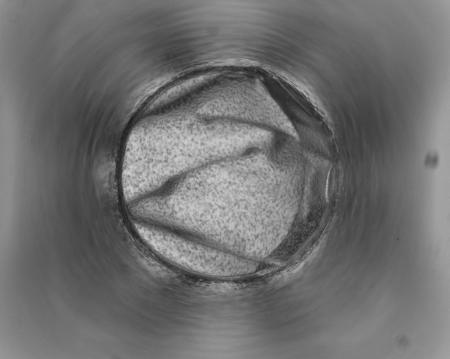 X0000090610881200708141349