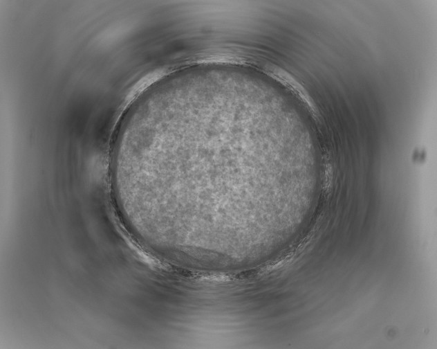 X0000090610882200708141349