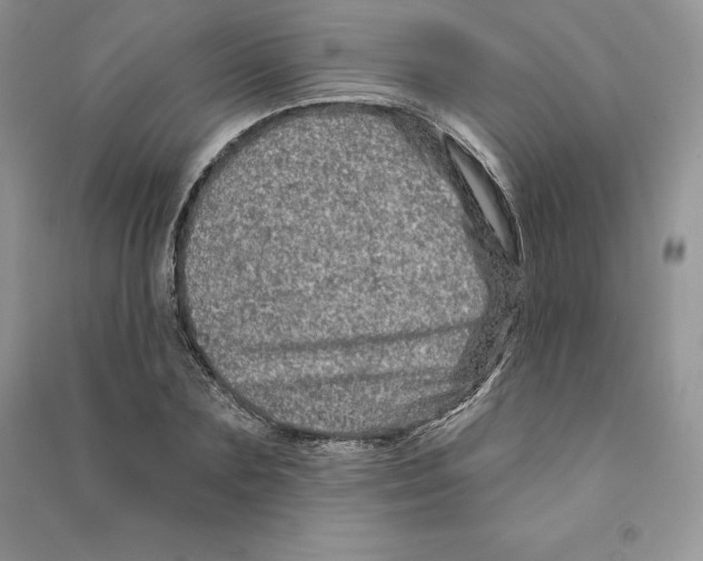 X0000090610883200708141349