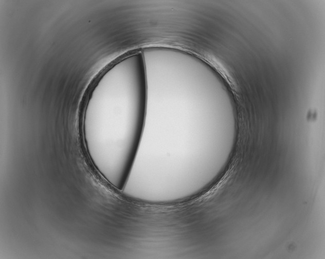 X0000090610884200708141349