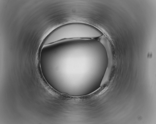 X0000090610885200708141349