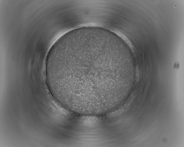 X0000090610886200708141349