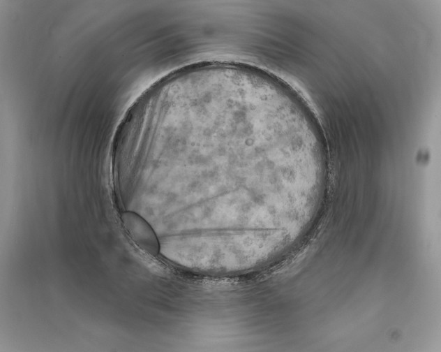 X0000090610887200708141349