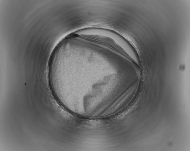 X0000090610888200708141349