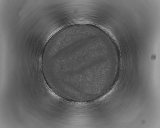 X0000090610889200708141349