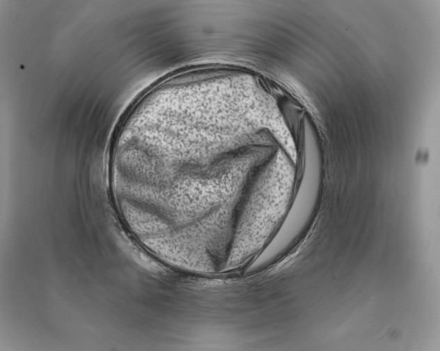 X0000090610892200708141349