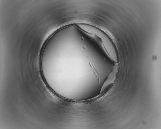 X0000090610894200708141349