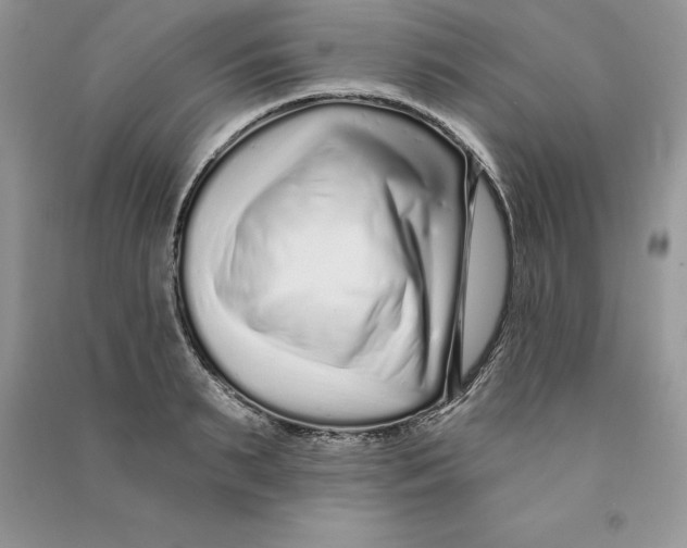 X0000090610895200708141349