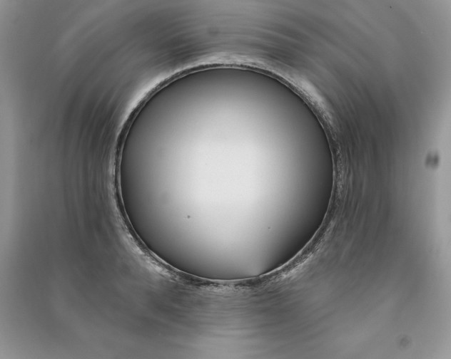 X0000090610896200708141349