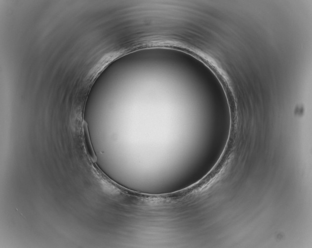 X0000090610897200708141349