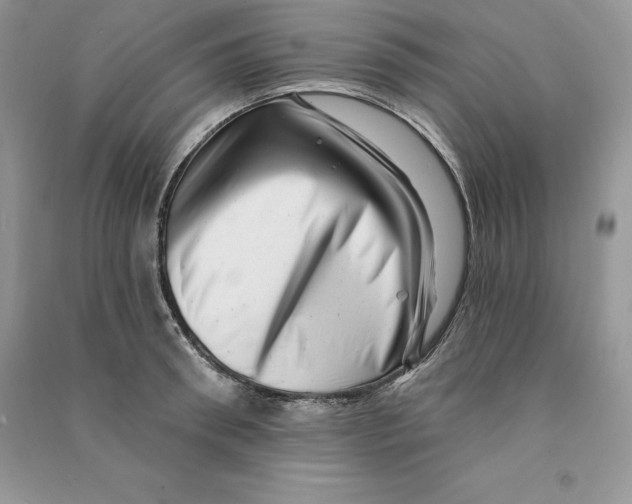 X0000090610898200708141349