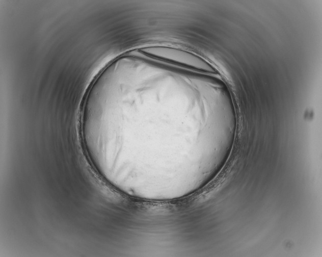 X0000090610899200708141349