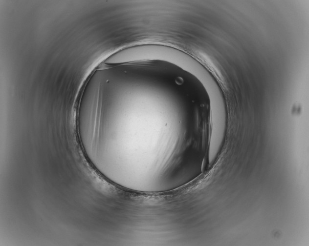 X0000090610900200708141349