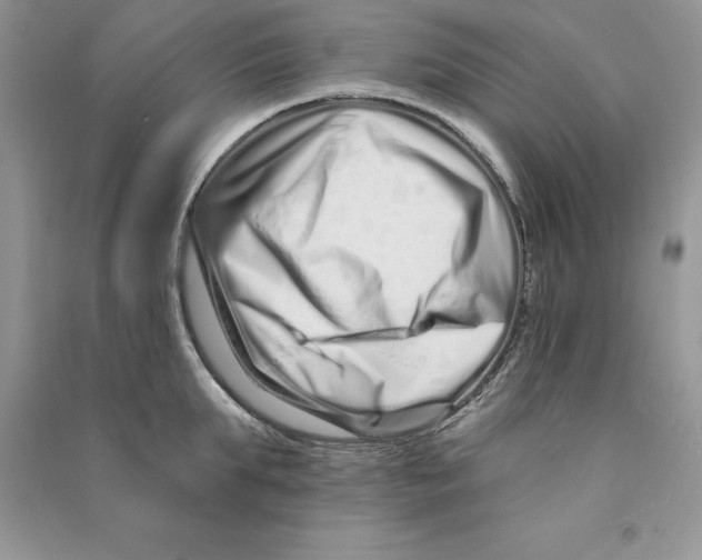 X0000090610903200708141349