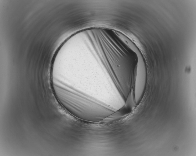 X0000090610904200708141349