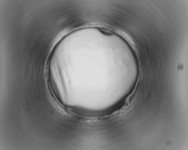 X0000090610907200708141349